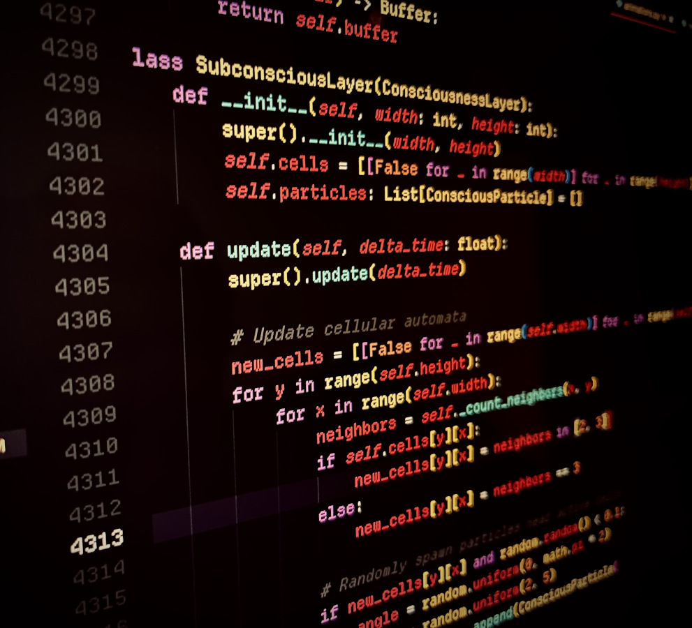 Source code from a simulation of consciousness